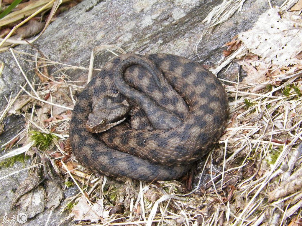 吉林自然美景探索之旅，追寻内心平和与喜悦的旅程