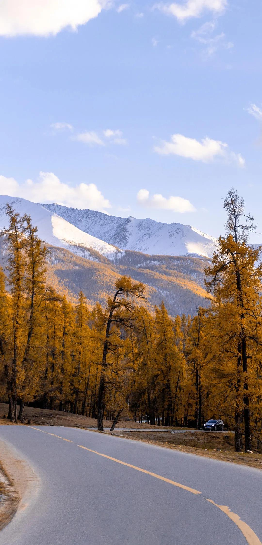 新疆梦想，蓝天翱翔的翅膀