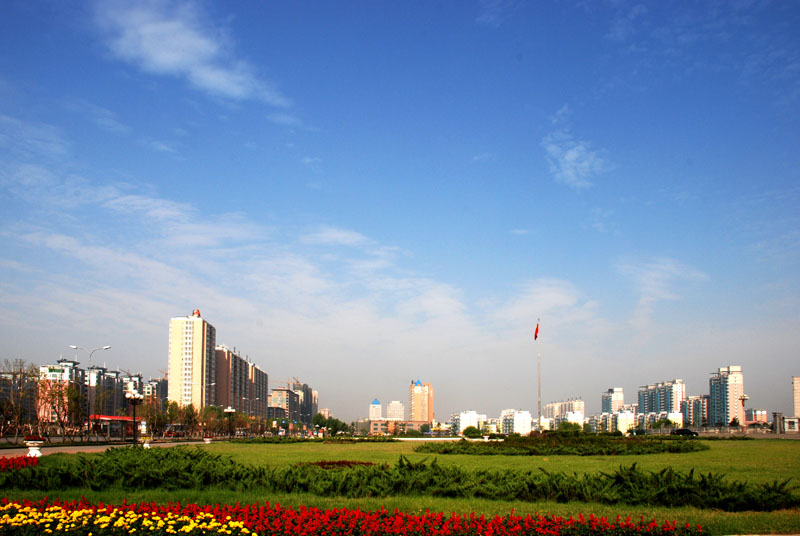 抚顺攻略,轻松完成XX任务/掌握XX技能的实用步骤解析